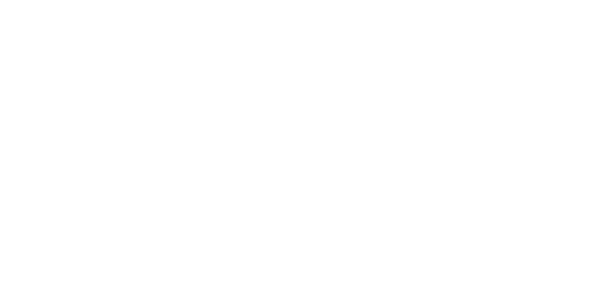 logo-singular600